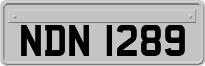 NDN1289