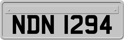 NDN1294