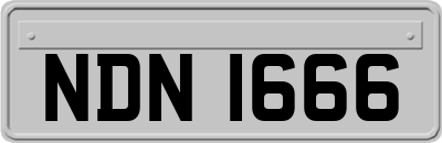 NDN1666