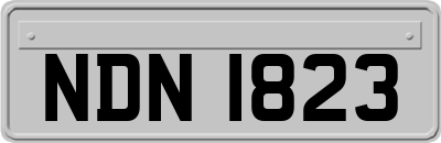 NDN1823