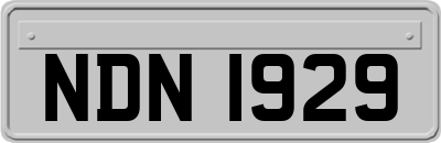 NDN1929