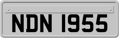 NDN1955