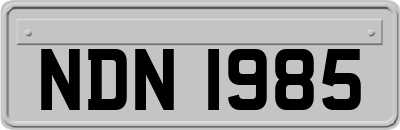 NDN1985
