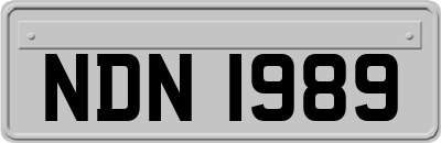 NDN1989