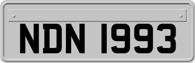 NDN1993