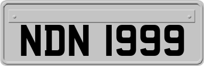 NDN1999