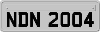 NDN2004