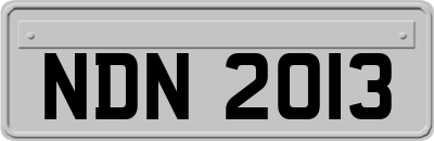 NDN2013