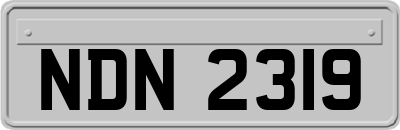 NDN2319