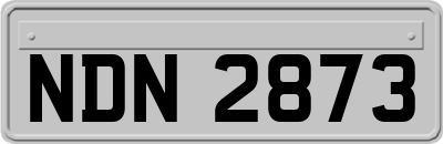 NDN2873