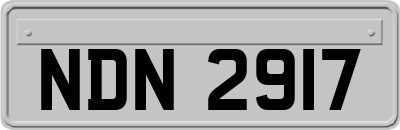 NDN2917