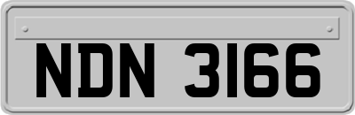 NDN3166