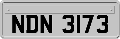 NDN3173