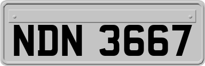 NDN3667
