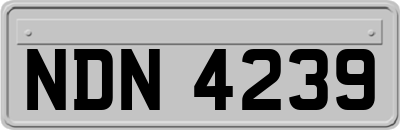 NDN4239