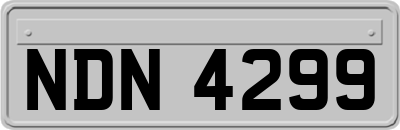 NDN4299
