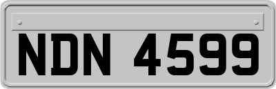 NDN4599