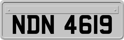 NDN4619