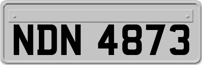 NDN4873