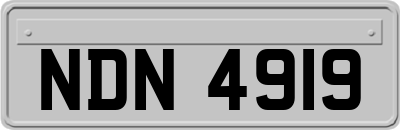 NDN4919