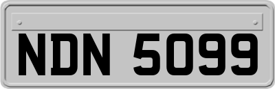 NDN5099