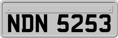 NDN5253