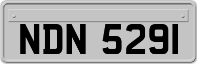 NDN5291