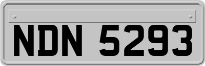 NDN5293