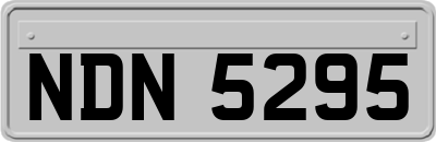 NDN5295