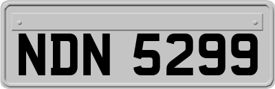 NDN5299