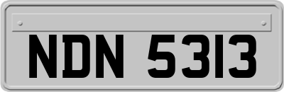 NDN5313
