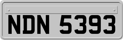 NDN5393