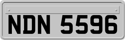 NDN5596