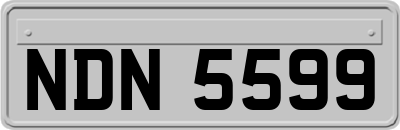 NDN5599