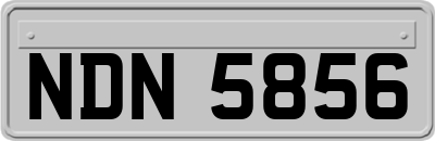 NDN5856
