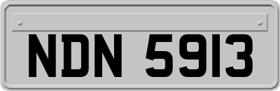 NDN5913
