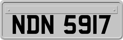 NDN5917