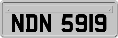 NDN5919