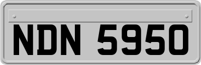 NDN5950