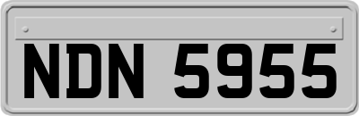 NDN5955