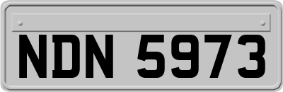 NDN5973