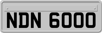 NDN6000