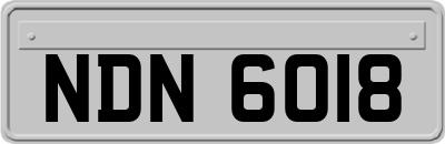 NDN6018