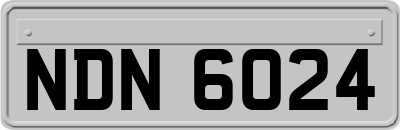 NDN6024