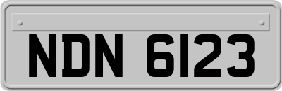 NDN6123