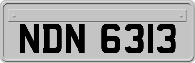 NDN6313