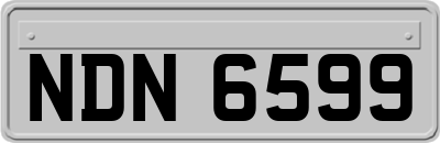 NDN6599