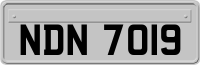 NDN7019