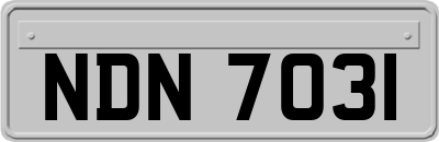 NDN7031