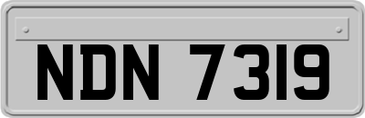NDN7319